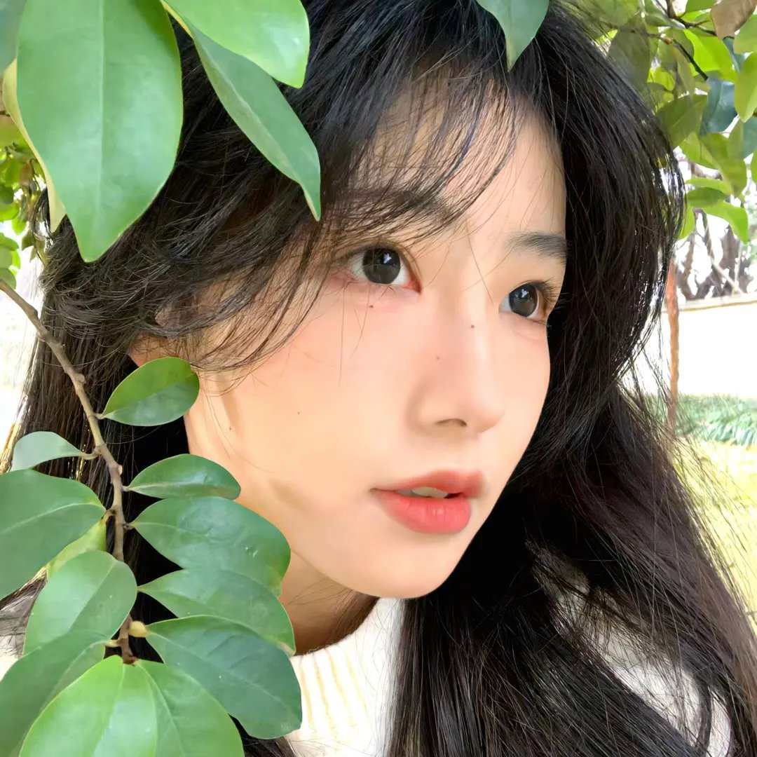 狗狗与我的十个约定